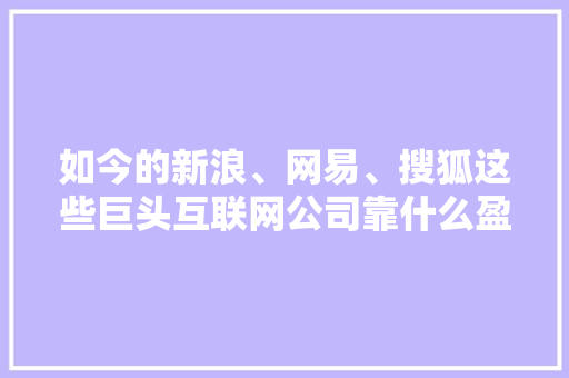如今的新浪、网易、搜狐这些巨头互联网公司靠什么盈利「做网站为什么能赚钱」