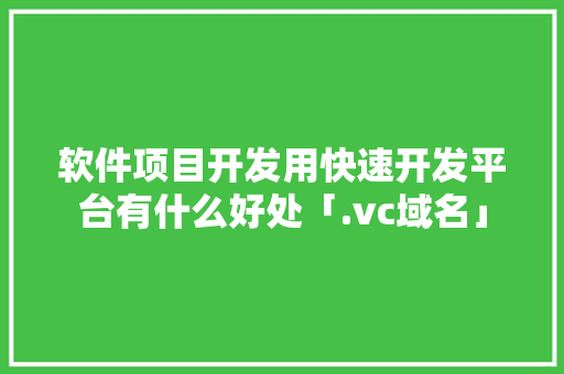 软件项目开发用快速开发平台有什么好处「.vc域名」