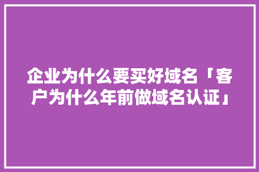 企业为什么要买好域名「客户为什么年前做域名认证」