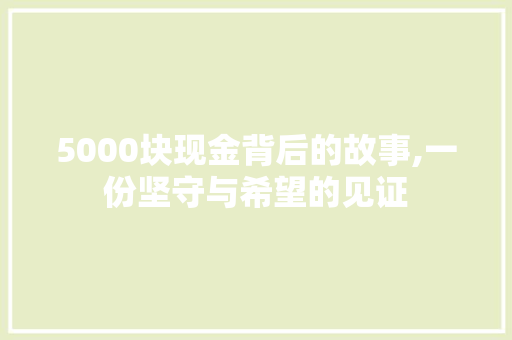 5000块现金背后的故事,一份坚守与希望的见证