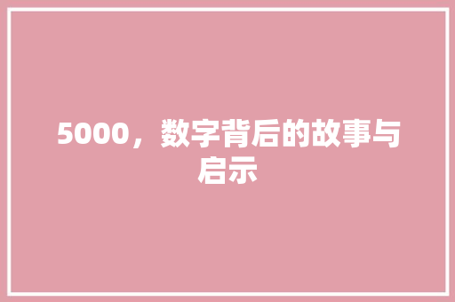 5000，数字背后的故事与启示 5000，数字背后的故事与启示 搜狗SEO