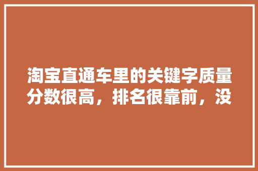 淘宝直通车里的关键字质量分数很高，排名很靠前，没有展现量是怎么回事「关键词没有排名的原因」 淘宝直通车里的关键字质量分数很高，排名很靠前，没有展现量是怎么回事「关键词没有排名的原因」 神马SEO