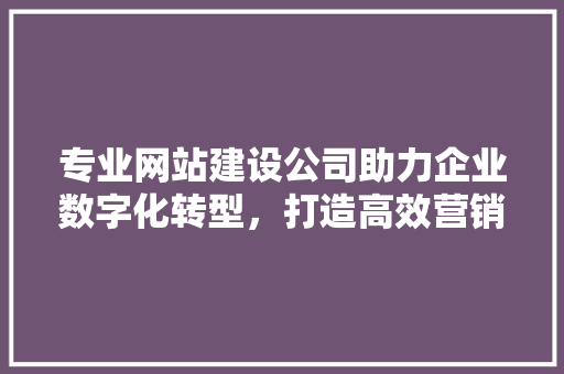专业网站建设公司助力企业数字化转型，打造高效营销新格局 专业网站建设公司助力企业数字化转型，打造高效营销新格局 神马SEO