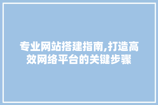 专业网站搭建指南,打造高效网络平台的关键步骤 专业网站搭建指南,打造高效网络平台的关键步骤 百度SEO