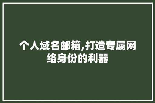 个人域名邮箱,打造专属网络身份的利器 个人域名邮箱,打造专属网络身份的利器 GoogleSEO