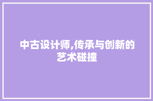 中古设计师,传承与创新的艺术碰撞 中古设计师,传承与创新的艺术碰撞 必应SEO