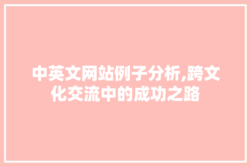 中英文网站例子分析,跨文化交流中的成功之路