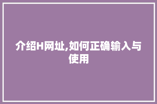 介绍H网址,如何正确输入与使用 介绍H网址,如何正确输入与使用 必应SEO