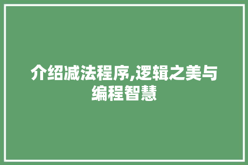 介绍减法程序,逻辑之美与编程智慧 介绍减法程序,逻辑之美与编程智慧 神马SEO