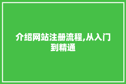 介绍网站注册流程,从入门到精通 介绍网站注册流程,从入门到精通 必应SEO
