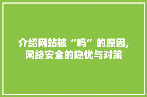 介绍网站被“吗”的原因,网络安全的隐忧与对策 介绍网站被“吗”的原因,网络安全的隐忧与对策 GoogleSEO