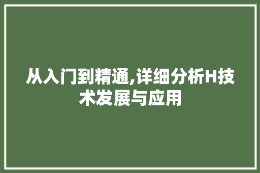 从入门到精通,详细分析H技术发展与应用