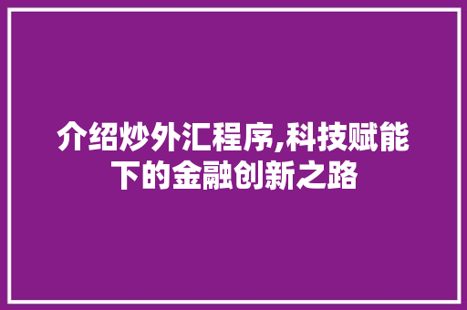 介绍炒外汇程序,科技赋能下的金融创新之路 介绍炒外汇程序,科技赋能下的金融创新之路 GoogleSEO