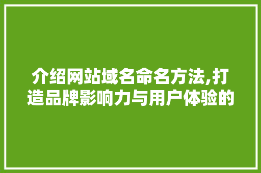 介绍网站域名命名方法,打造品牌影响力与用户体验的双重胜利 介绍网站域名命名方法,打造品牌影响力与用户体验的双重胜利 GoogleSEO
