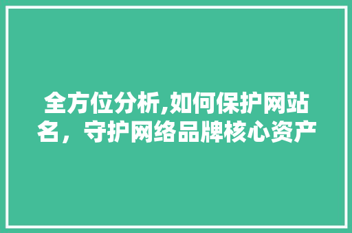 全方位分析,如何保护网站名，守护网络品牌核心资产