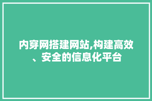 内穿网搭建网站,构建高效、安全的信息化平台 内穿网搭建网站,构建高效、安全的信息化平台 搜狗SEO
