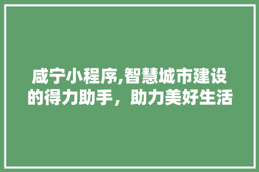 咸宁小程序,智慧城市建设的得力助手，助力美好生活新篇章 咸宁小程序,智慧城市建设的得力助手，助力美好生活新篇章 神马SEO
