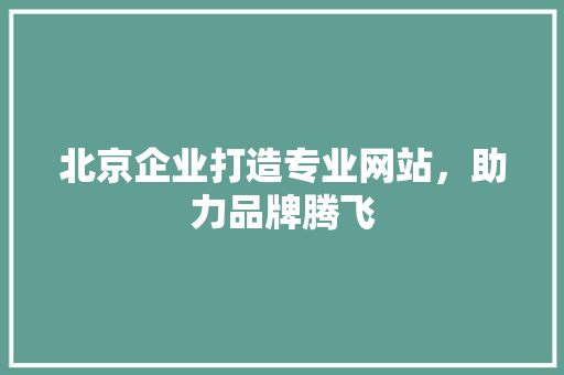 北京企业打造专业网站，助力品牌腾飞 北京企业打造专业网站，助力品牌腾飞 GoogleSEO