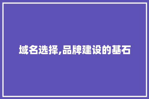 域名选择,品牌建设的基石 域名选择,品牌建设的基石 神马SEO