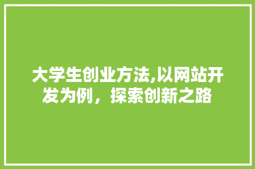 大学生创业方法,以网站开发为例，探索创新之路