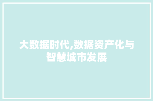 大数据时代,数据资产化与智慧城市发展