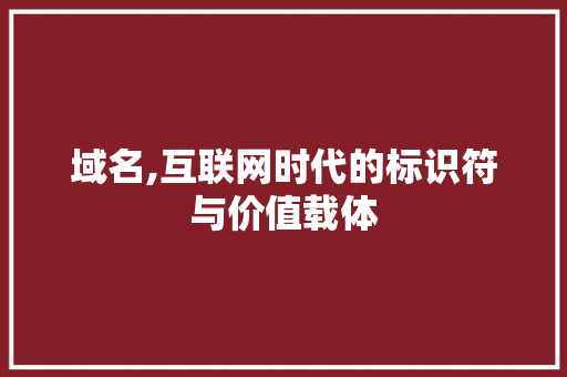 域名,互联网时代的标识符与价值载体 域名,互联网时代的标识符与价值载体 神马SEO
