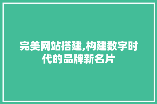 完美网站搭建,构建数字时代的品牌新名片 完美网站搭建,构建数字时代的品牌新名片 GoogleSEO