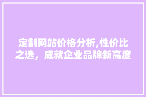 定制网站价格分析,性价比之选，成就企业品牌新高度