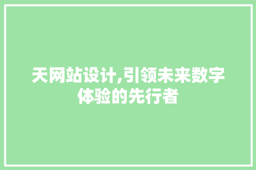 天网站设计,引领未来数字体验的先行者