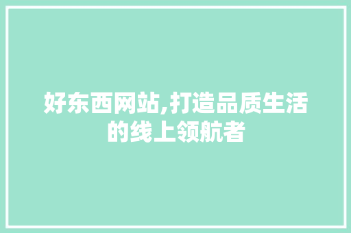 好东西网站,打造品质生活的线上领航者