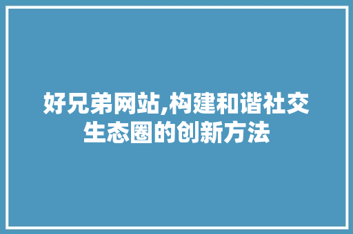 好兄弟网站,构建和谐社交生态圈的创新方法