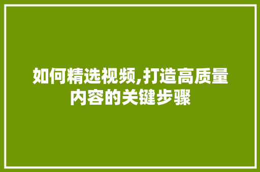 如何精选视频,打造高质量内容的关键步骤 如何精选视频,打造高质量内容的关键步骤 必应SEO