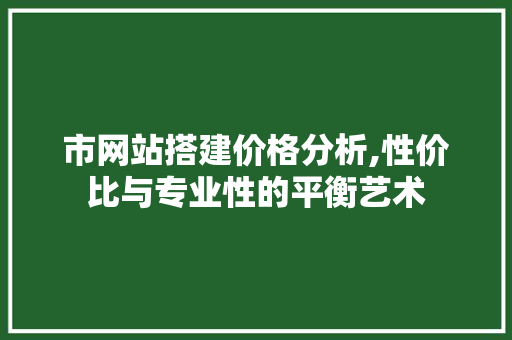 市网站搭建价格分析,性价比与专业性的平衡艺术 市网站搭建价格分析,性价比与专业性的平衡艺术 百度SEO