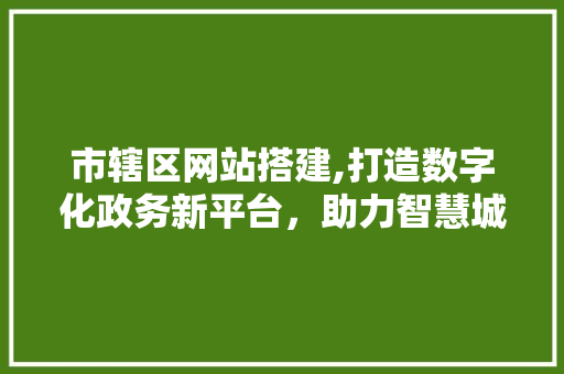 市辖区网站搭建,打造数字化政务新平台，助力智慧城市建设 市辖区网站搭建,打造数字化政务新平台，助力智慧城市建设 百度SEO