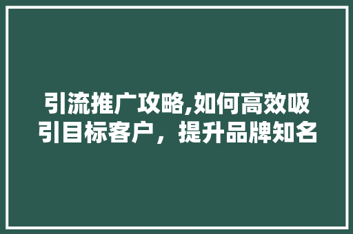 引流推广攻略,如何高效吸引目标客户，提升品牌知名度 引流推广攻略,如何高效吸引目标客户，提升品牌知名度 百度SEO