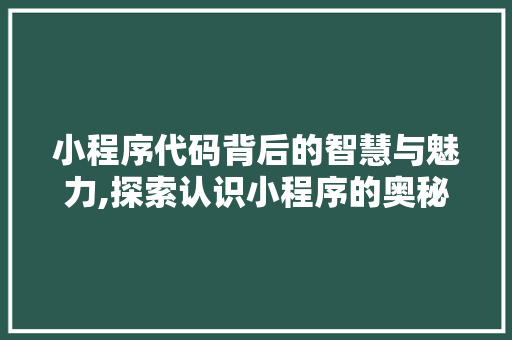 小程序代码背后的智慧与魅力,探索认识小程序的奥秘