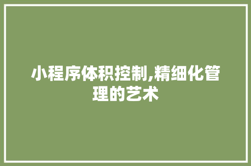 小程序体积控制,精细化管理的艺术 小程序体积控制,精细化管理的艺术 GoogleSEO