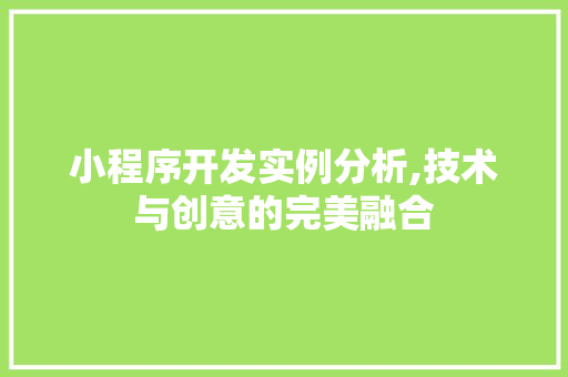 小程序开发实例分析,技术与创意的完美融合