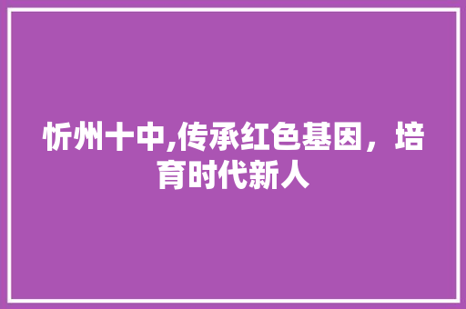 忻州十中,传承红色基因，培育时代新人 忻州十中,传承红色基因，培育时代新人 必应SEO