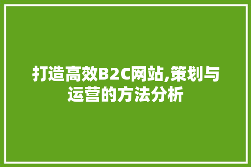 打造高效B2C网站,策划与运营的方法分析 打造高效B2C网站,策划与运营的方法分析 百度SEO
