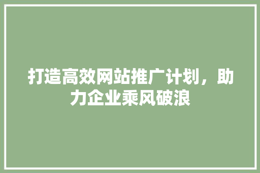 打造高效网站推广计划，助力企业乘风破浪