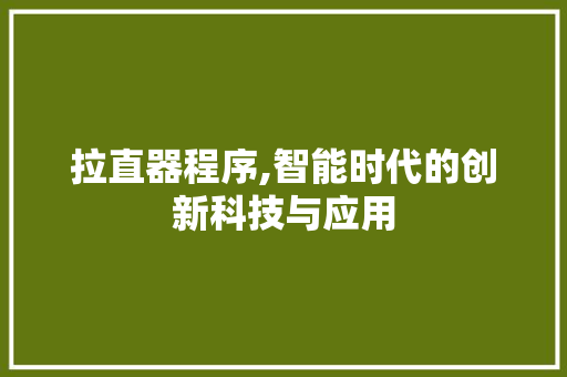 拉直器程序,智能时代的创新科技与应用 拉直器程序,智能时代的创新科技与应用 神马SEO