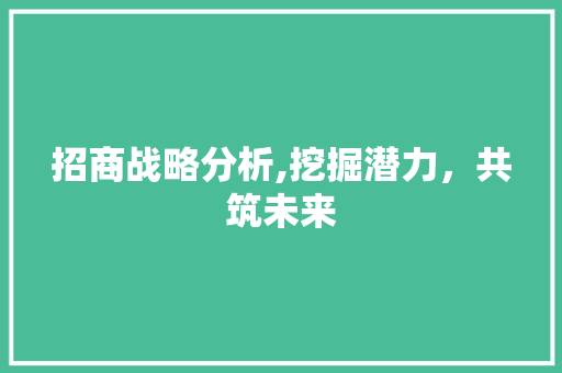 招商战略分析,挖掘潜力，共筑未来 招商战略分析,挖掘潜力，共筑未来 百度SEO
