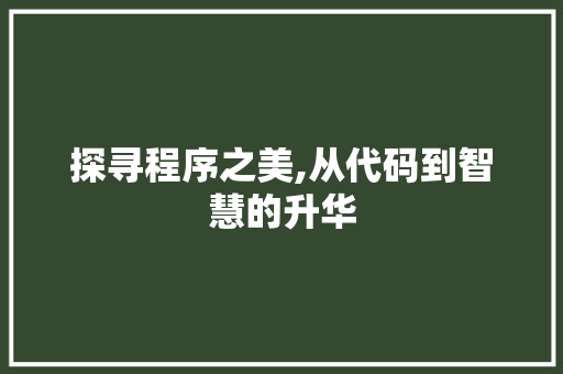 探寻程序之美,从代码到智慧的升华 探寻程序之美,从代码到智慧的升华 GoogleSEO