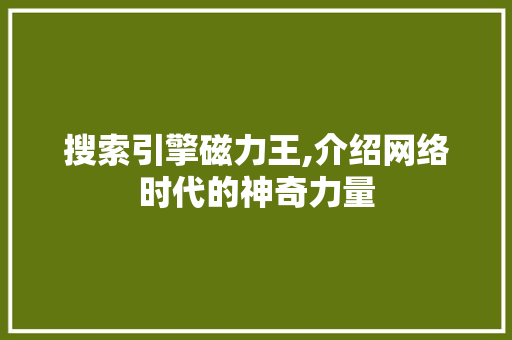 搜索引擎磁力王,介绍网络时代的神奇力量