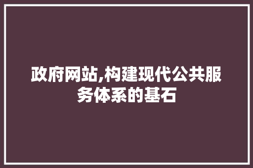 政府网站,构建现代公共服务体系的基石 政府网站,构建现代公共服务体系的基石 GoogleSEO