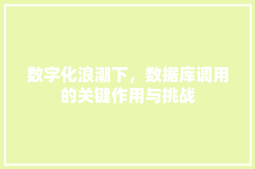 数字化浪潮下，数据库调用的关键作用与挑战