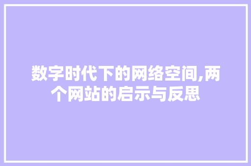 数字时代下的网络空间,两个网站的启示与反思 数字时代下的网络空间,两个网站的启示与反思 神马SEO
