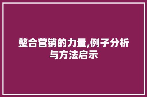 整合营销的力量,例子分析与方法启示