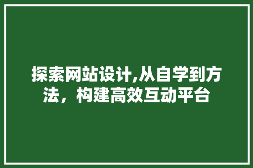 探索网站设计,从自学到方法，构建高效互动平台 探索网站设计,从自学到方法，构建高效互动平台 神马SEO